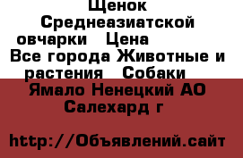Щенок Среднеазиатской овчарки › Цена ­ 35 000 - Все города Животные и растения » Собаки   . Ямало-Ненецкий АО,Салехард г.